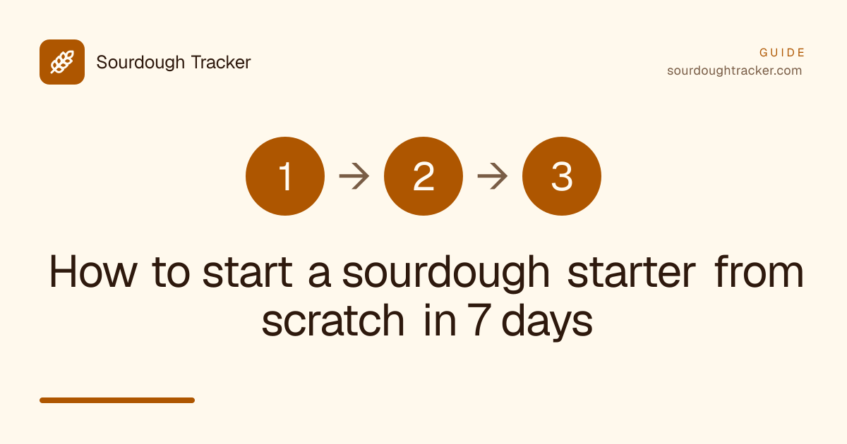 How to start a sourdough starter from scratch in 7 days