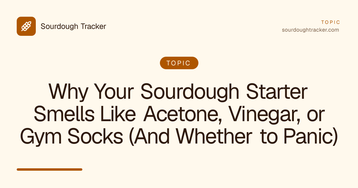 Why Your Sourdough Starter Smells Like Acetone, Vinegar, or Gym Socks (And Whether to Panic)